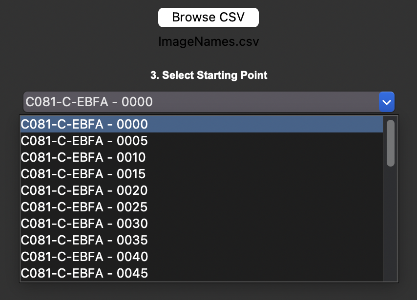 Asset Image Sequencer 2 - Check your data and select output options
